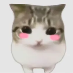A little cat worn down by life. (棱角猫)