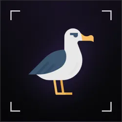 Albatross Protocol (ALBATROSS)