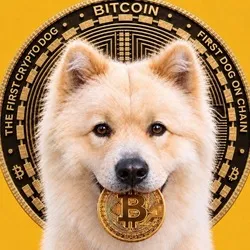 Buddy -First Crypto Dog Price (BUDDY)