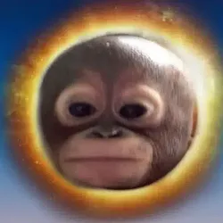 budi (BUDI)