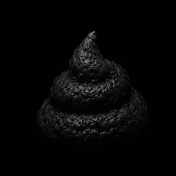 Bullshit Coin (BULLSHIT)
