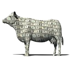Cash Cow (CASHCOW) Price Prediction