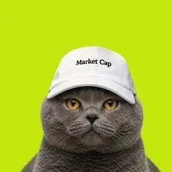 catwifcap (CAP) Price Prediction