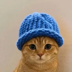 Catwifhat (CATWIF) Price Prediction