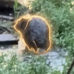 Chonketha the Wet Beaver (CHONKETHA) Price Prediction
