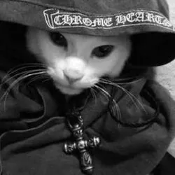 Chrome Cat (CHROME)