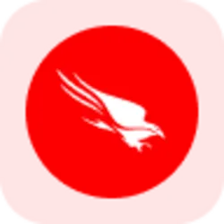 CrowdStrike rStock (RCRWD)