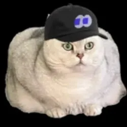 fomocat (FOMOCAT)