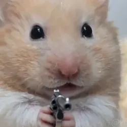 /static-backend/exchangeBm-upload/img/seo/SEO_hamster-wif-gun.png?x-oss-process=image/format,webp
