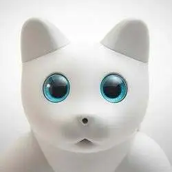 火星仿生猫 (MARSCAT) Price Prediction