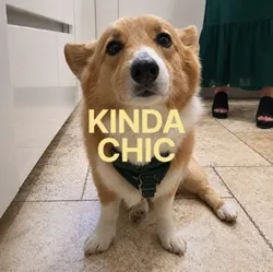 Kinda Chic (CHIC)