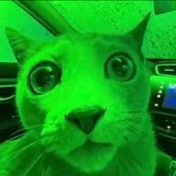 Market Cat (MARKETCAT)