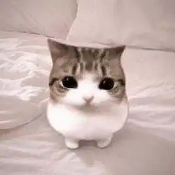 Meowpin (MEOWPIN)