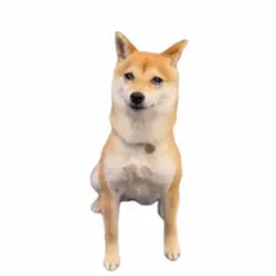 Money Dog (MONEYDOG)