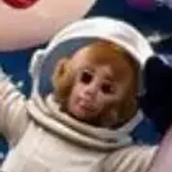 moonkey (MOONKEY)