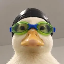 Nasduck (NASDUCK) Price Prediction