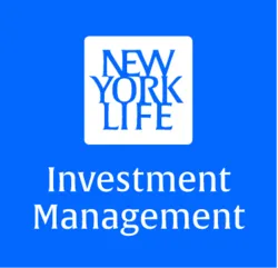NYLIM US High Yield Bond Fund (HYB)