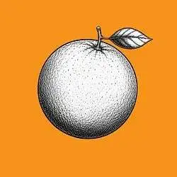 Orange Coin (ORANGE)