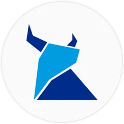 Pin Token (PIN)