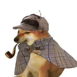 pipedog (PIPEDOG)