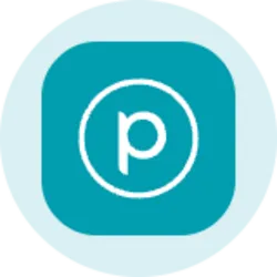 Planet Labs (Ondo Tokenized) (PLON)