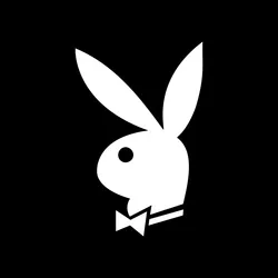 Playboy (ST0x Tokenized Stock) (WTPLBY)