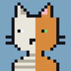 Quantum Cats (QC)