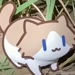 Salary Cat (SALARYCAT)