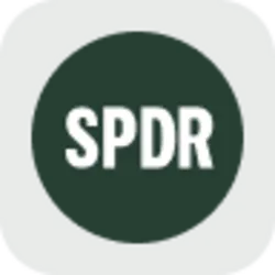 SPDR S&P 500 ETF rStock (RSPY)
