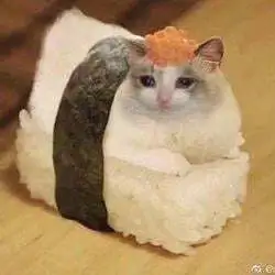 Sushi Cat (SUSHICAT) Price Prediction