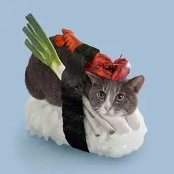 sushicat (SUSHICAT)