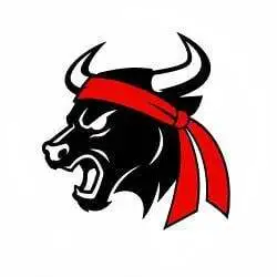 The Gamestop Bull (GMEBULL) Price Prediction
