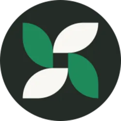 Ticker Spring (SPRING)