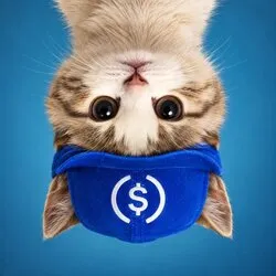 UpSideDownCat (USDC)