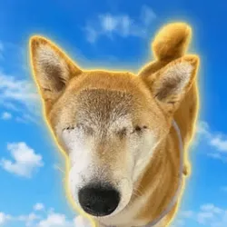 Wifout (WIFOUT)