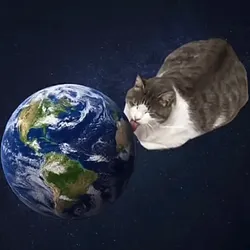 world licking cat (LICKINGCAT)