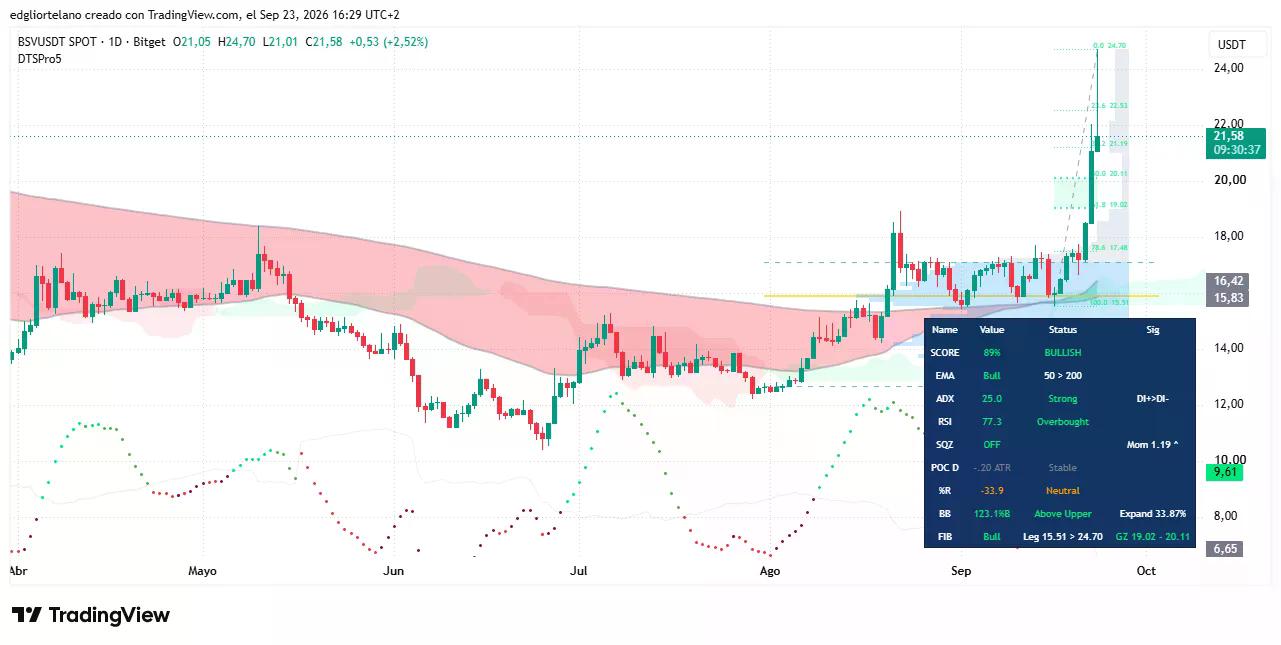 Bitcoin SV 價格數據。圖片：Tradingview
