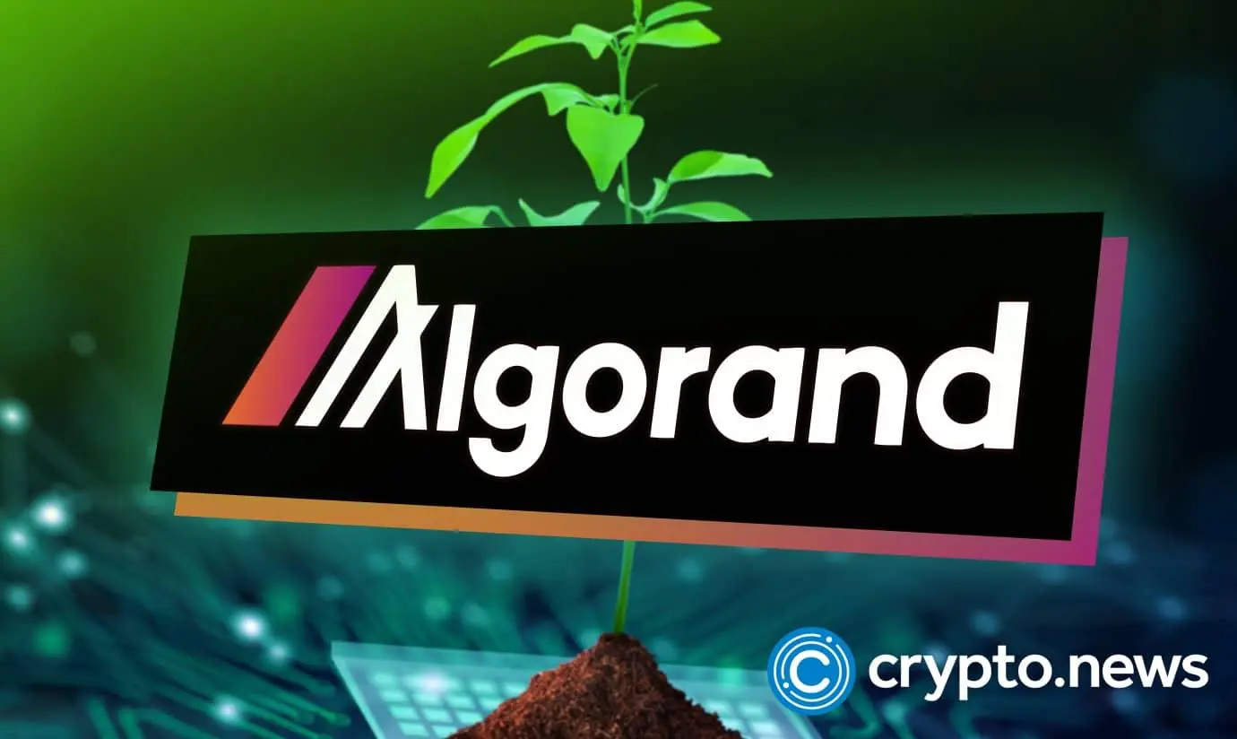 algorand-surges-in-a-month-after-google-quantum-flag