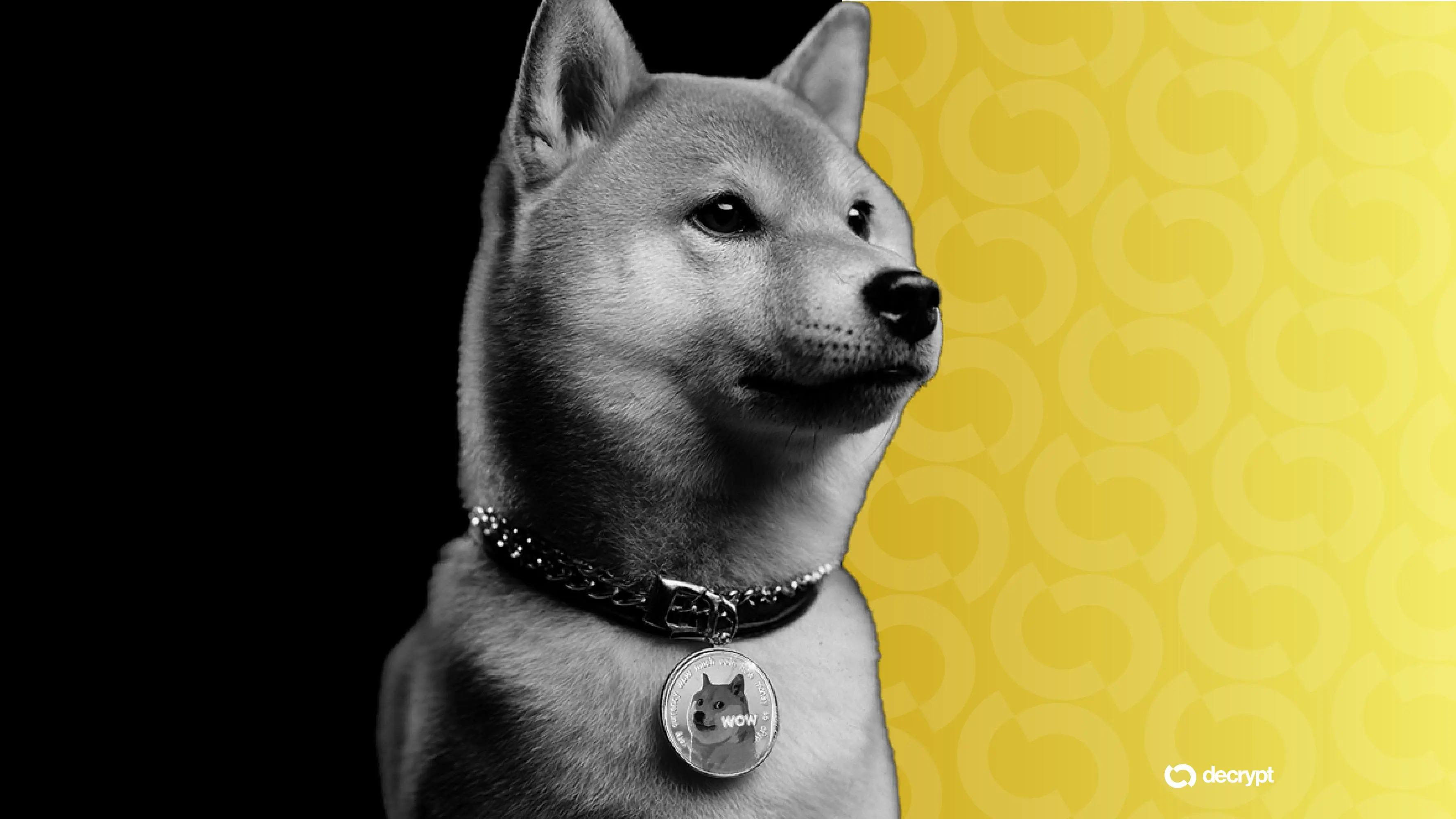dogecoin-2-month-high-doge-mining-firm-go-public