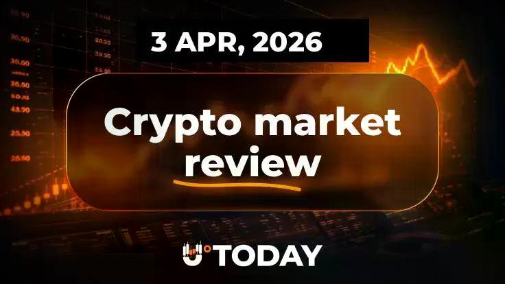 shiba-inus-shib-last-chance-will-xrp-hit-2-again-bitcoin-btc-bull-run-denied-could-60000-be-next