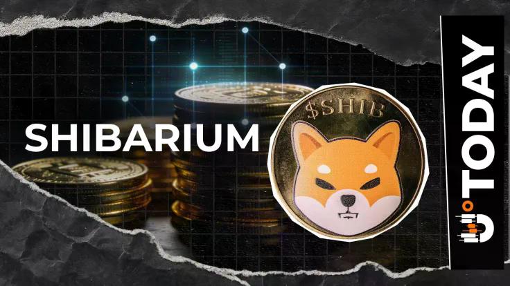 shiba-inus-shibarium-just-saw-300-surge-in-transactions-most-of-them-are-empty