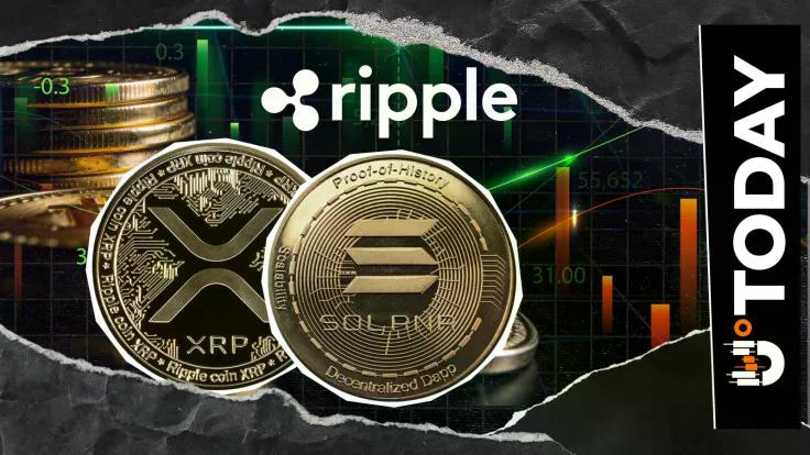 ripple-developers-react-to-solanas-xrp-post-something-to-watch-out-for