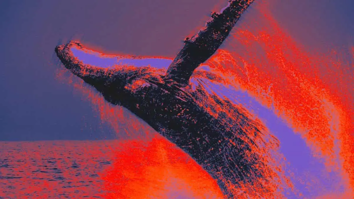 ethereum-ico-whale-moves-23-million