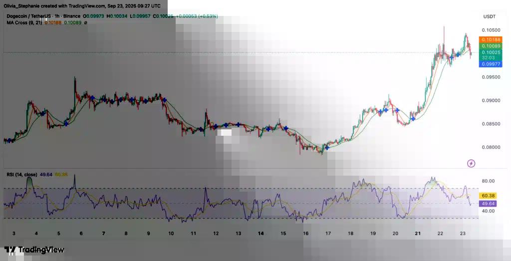 Dogecoin (DOGE) price chart, source: TradingView