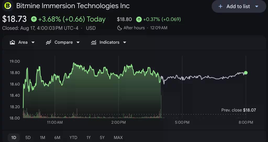 Bitmine (BMNR) stock price chart, source: Google Finance