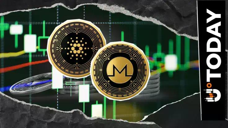 cardano-and-monero-xmr-in-tussle-for-crypto-ranking-who-will-end-up-ahead