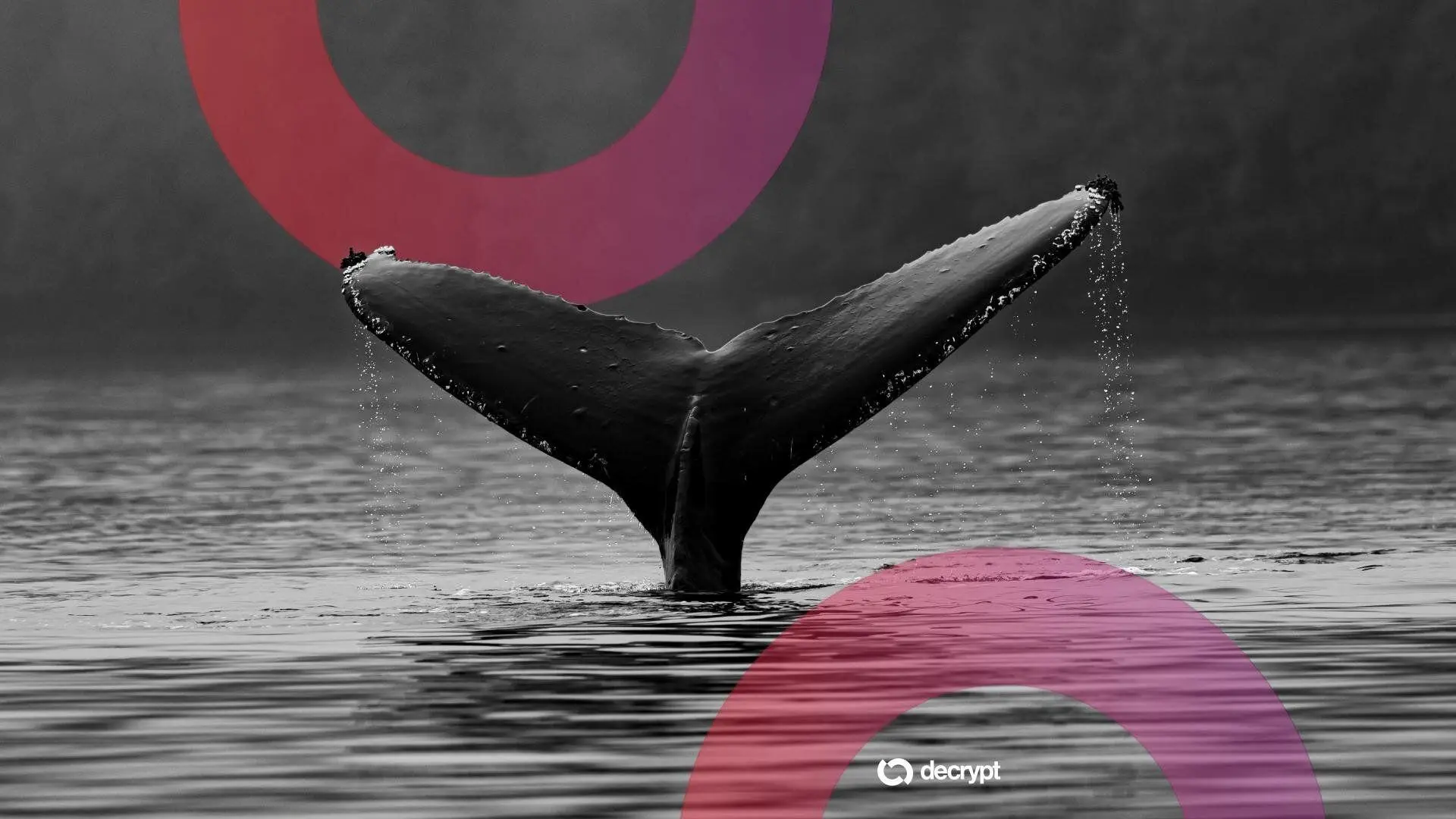 ethereum-ico-whale-who-turned-3100-into-23m-wakes-up-after-a-decade