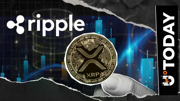 ripple-engineer-explains-xrpl-update-pace-focus-turns-to-bug-fixes-and-reliability