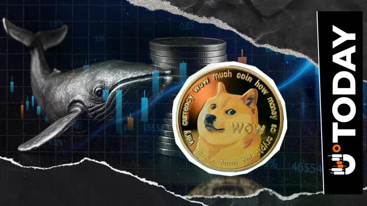dogecoin-nears-010-dream-as-whales-add-330-million-doge-in-days