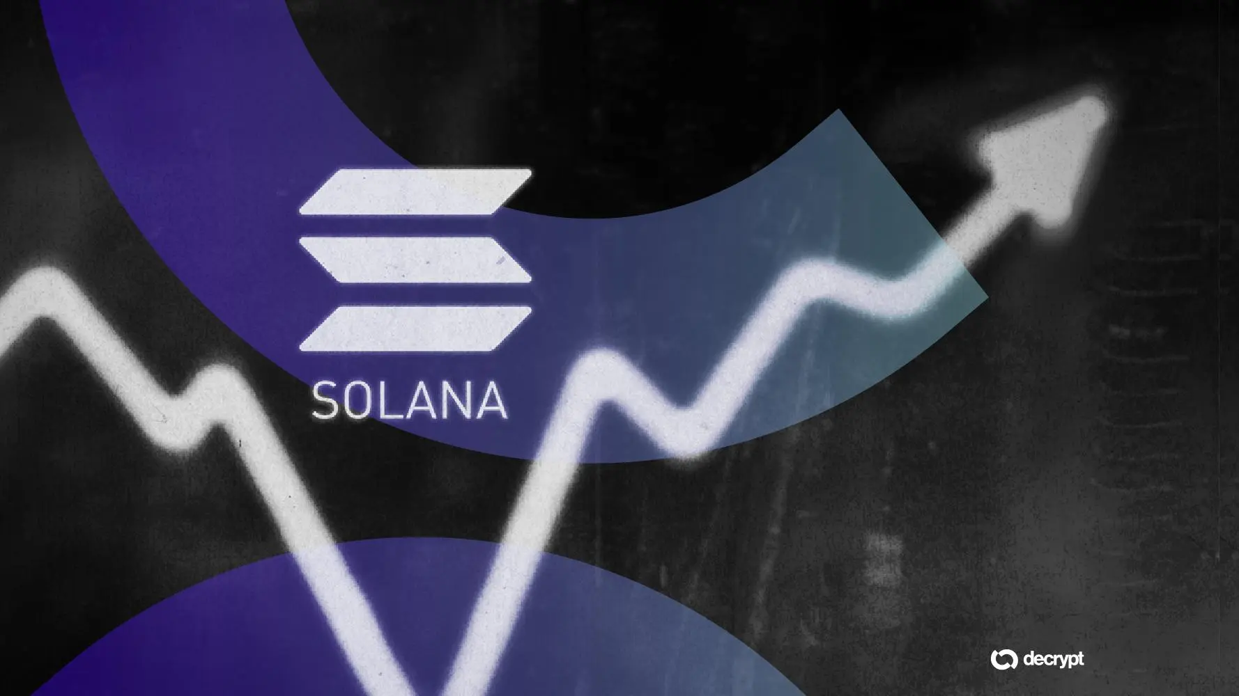 solana-treasury-sol-data-beyond-price